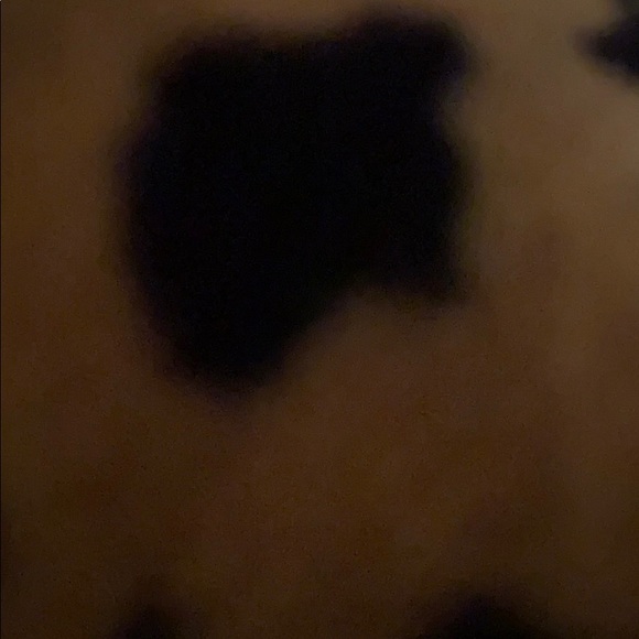 Meet your Posher, Carly - Picture 1 of 1